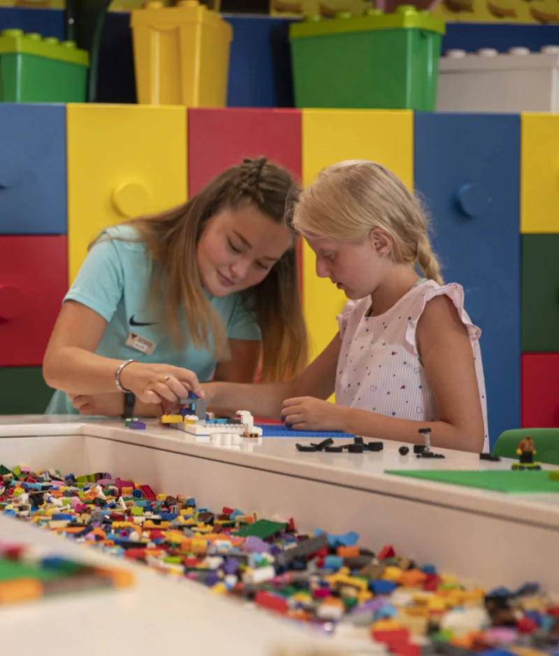 Papillon Ayscha Mini Club Aktivite Lego 03